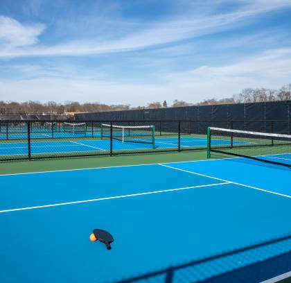 Construction Terrain Picklball